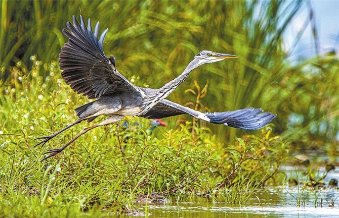 00304213567_583eaf8b