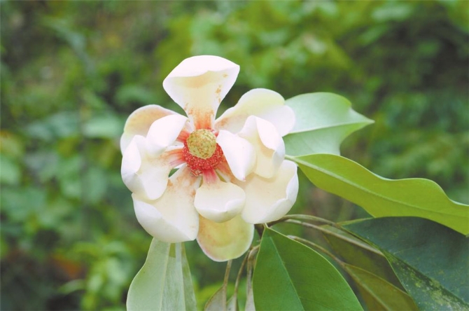 00304213601_ef3b8be7