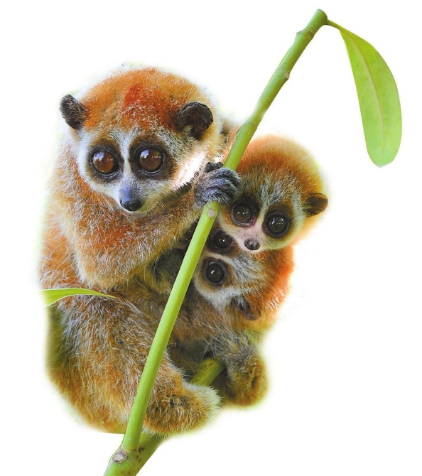 00304213569_9761da8f