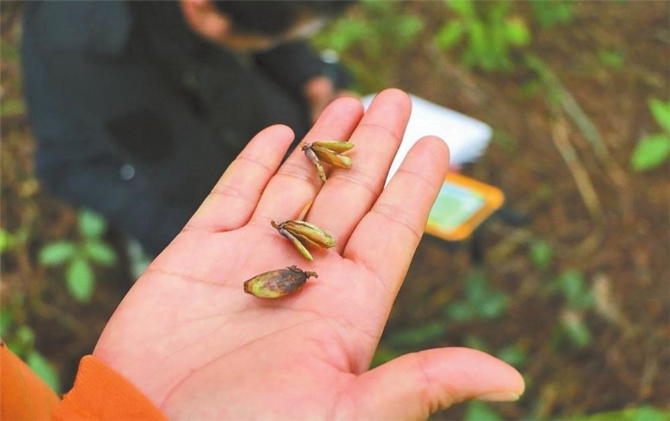 00304213602_f4bd4aee