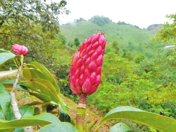 b014d34c-f351-4c50-b8a8-4dd063013420 b014d34c-f351-4c50-b8a8-4dd063013420