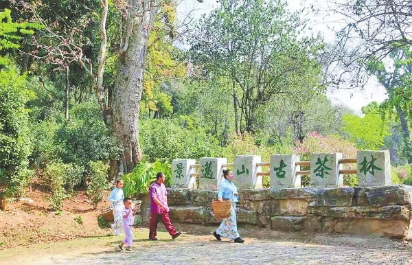 7c9662d6-d4ff-4056-b4e4-8ed56deaec3e 7c9662d6-d4ff-4056-b4e4-8ed56deaec3e