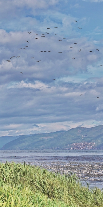 ab9d7ecf-0c32-44c0-8722-f907eb095f0c ab9d7ecf-0c32-44c0-8722-f907eb095f0c