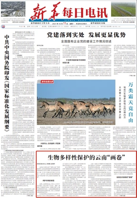 640.webp (1) 640.webp (1)