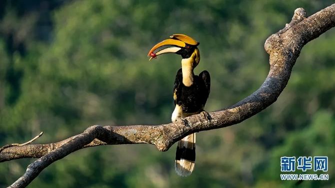 640.webp (6) 640.webp (6)