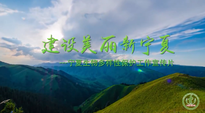 微信截图_20211011192924