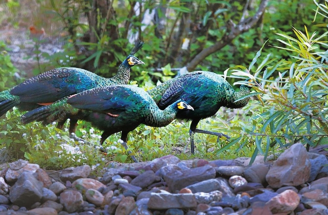 72874535-93a5-4631-a230-ca0e53002705