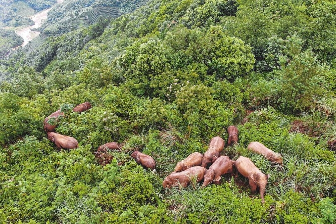 5039150d-21ad-446a-8c89-e7eae1c91267