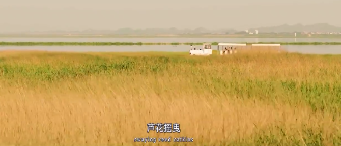 微信截图_20211012185730 微信截图_20211012185730