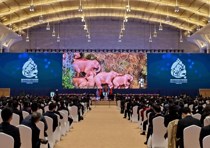 1127947068_16339843653991n