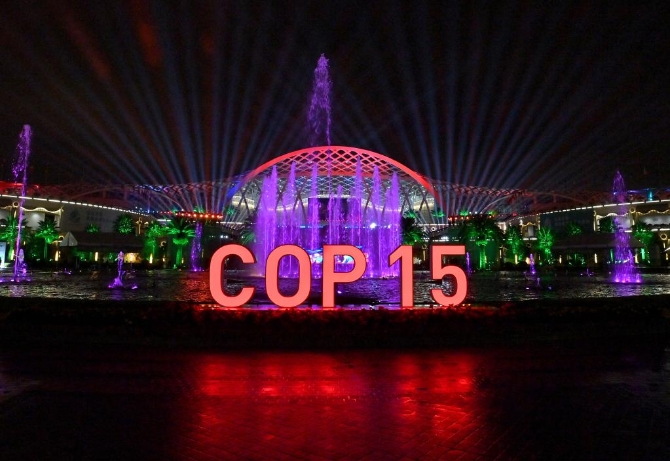 1127947068_16339844176171n