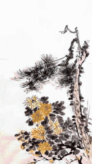 1127954537_16341316795961n