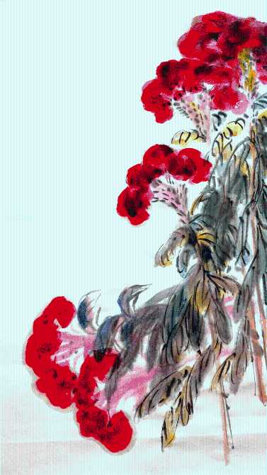 1127954537_16341317417171n