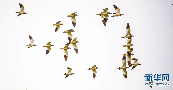 1310251075_16344871467051n