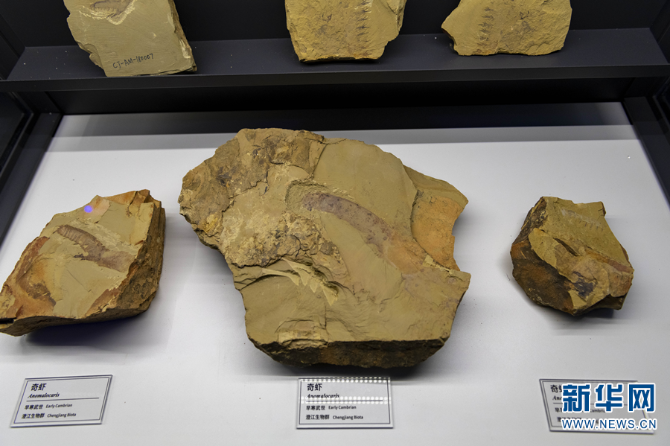 1310251075_16344871467341n