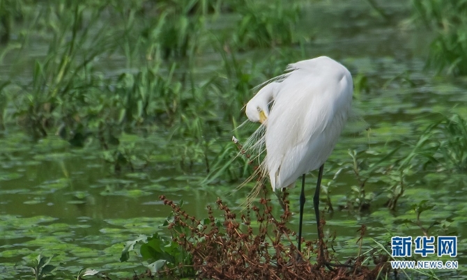 1310251075_16344871479381n