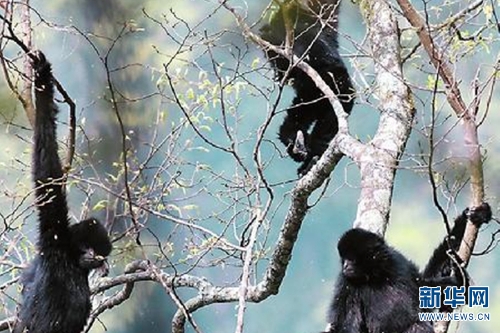 1310251075_16344871480361n