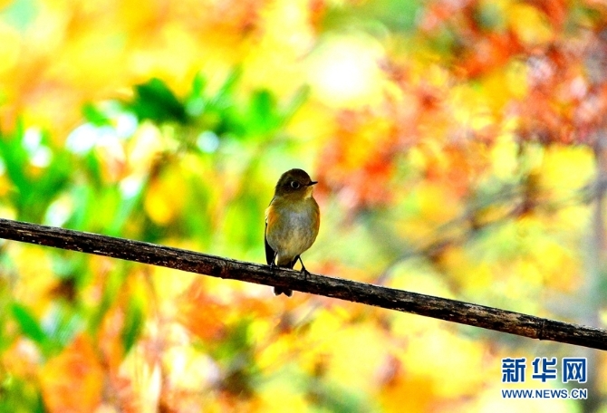 1310254827_16346148522601n