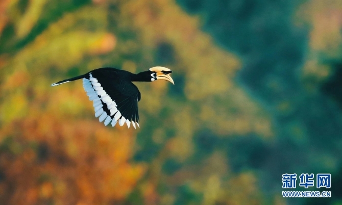 1310254827_16346148529371n