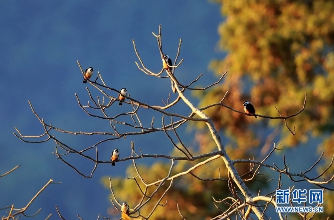 1310254827_16346148535571n