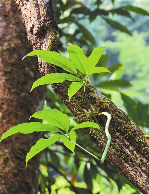 064f16f6-f567-4f8d-a4d2-e9fe7479b276 064f16f6-f567-4f8d-a4d2-e9fe7479b276