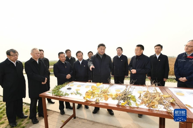 1127989011_16350007342641n