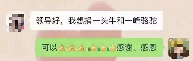 LOCAL202110261607000175013235377