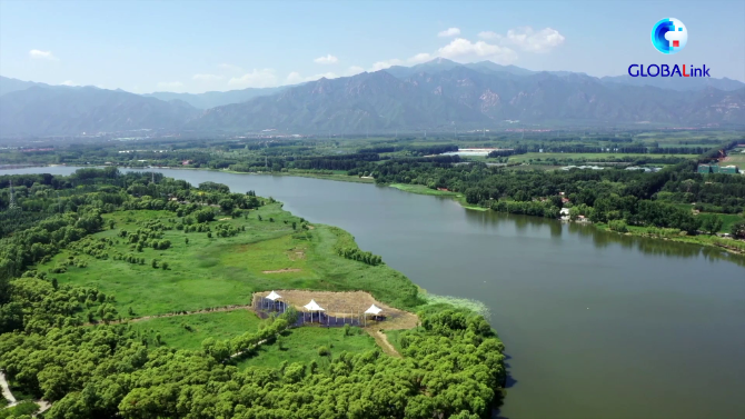 1128000873_16353105310811n 1128000873_16353105310811n