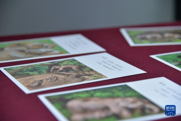 1310275733_16354215516941n_gaitubao_600x401