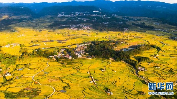 3_gaitubao_600x337 3_gaitubao_600x337