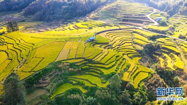 5_gaitubao_600x337 5_gaitubao_600x337