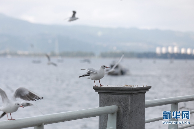 1310279815_16355960521211n