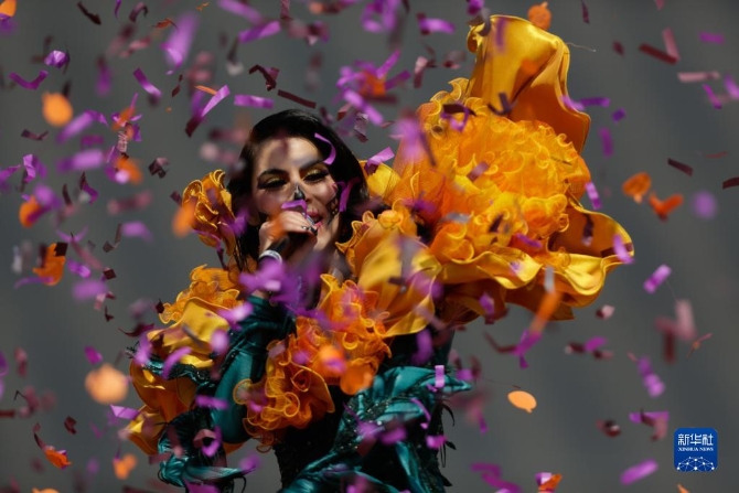 1128017335_16357319514781n 1128017335_16357319514781n