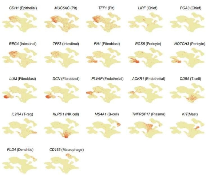 27871f173c574ccb8baeded1d0a3bb5b.jpg 27871f173c574ccb8baeded1d0a3bb5b.jpg