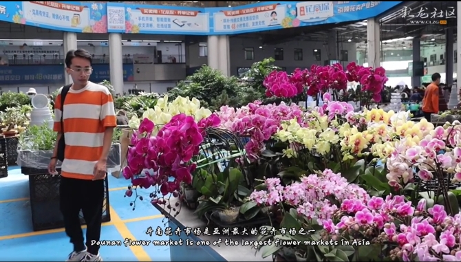 1636076494(1) 1636076494(1)