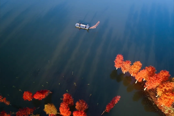 640.webp (6) 640.webp (6)