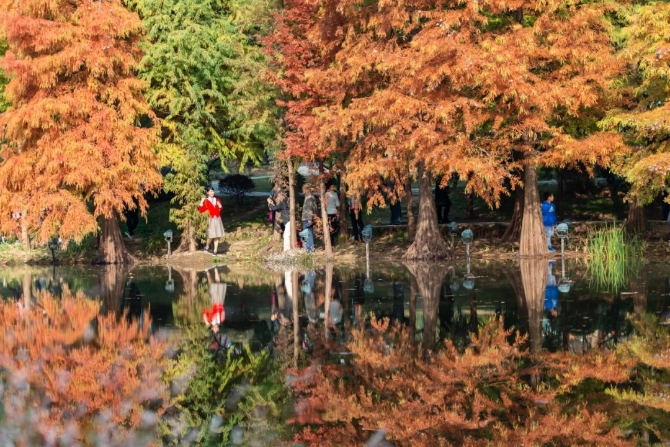 640.webp (7) 640.webp (7)