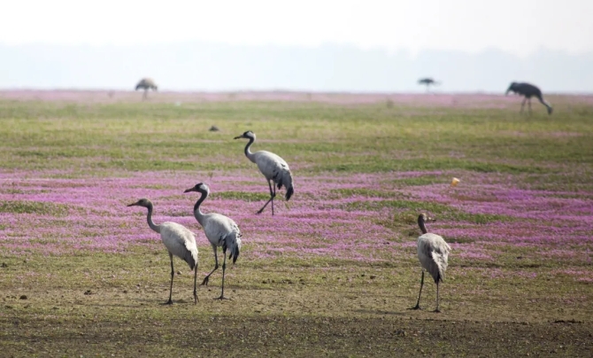 640.webp (12) 640.webp (12)