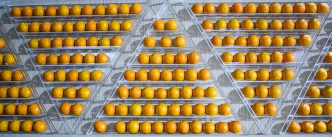 640.webp (14) 640.webp (14)