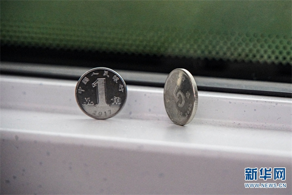 1310298446_16363735205251n