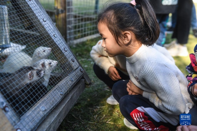 1310304189_16365951212771n