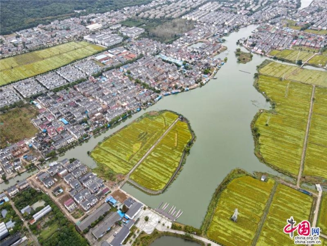 17004082-49fb-4ed7-969e-c4326d117414_batchwm