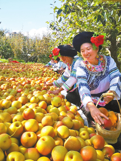 00304288867_a26a5d63 00304288867_a26a5d63