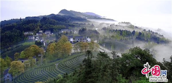 805ccbad-23d8-493b-8e12-e039d55268c6_watermark