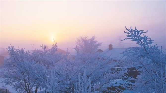 W020211116514489150748