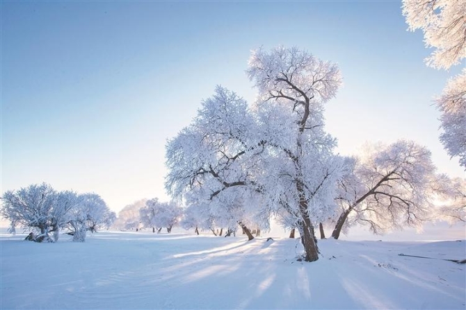 W020211116514489184010