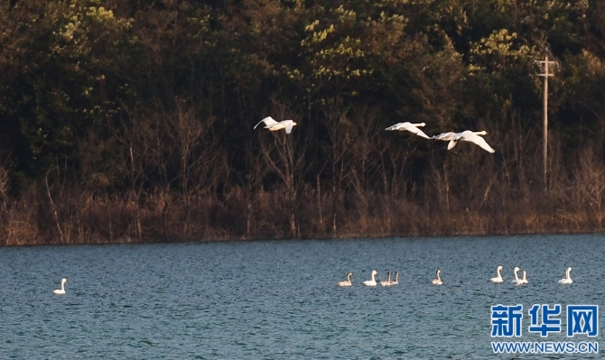 1128063003_16368780720491n