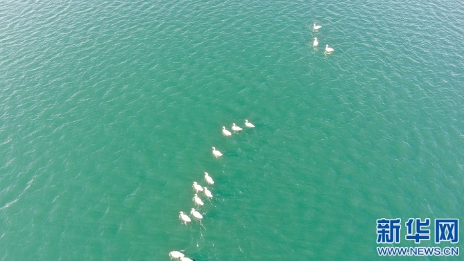 1128063003_16368780721421n