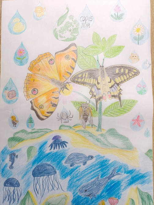 微信图片_20211117105326