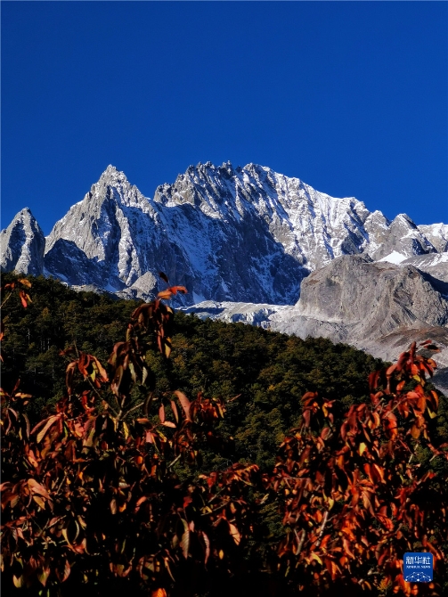 1310316631_16371415058881n 1310316631_16371415058881n